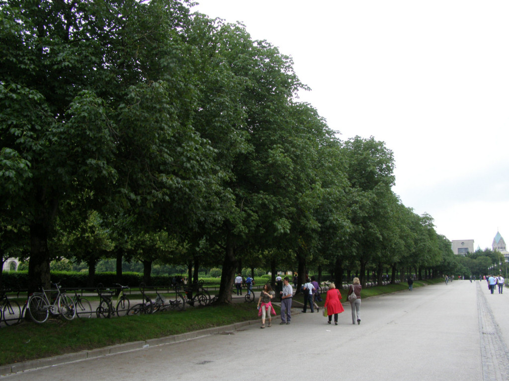 P6280397