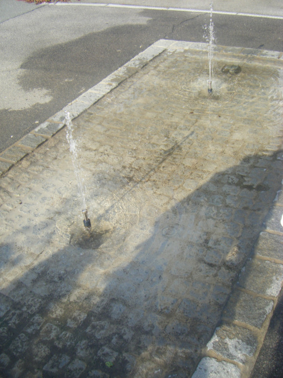 P7030001