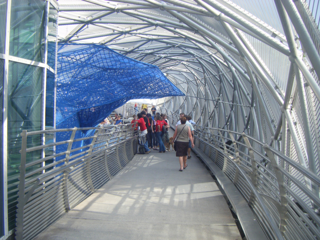 P7050256