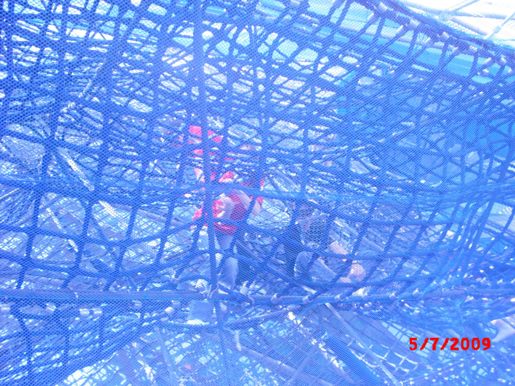 P7050269