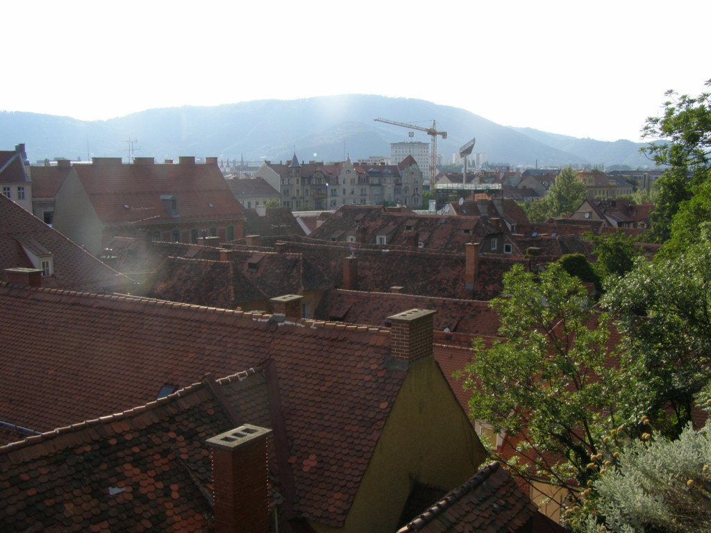 P7050296