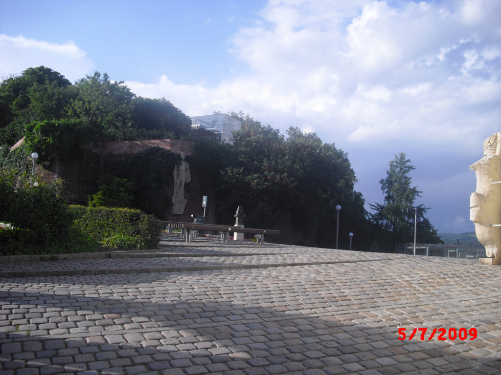P7050347