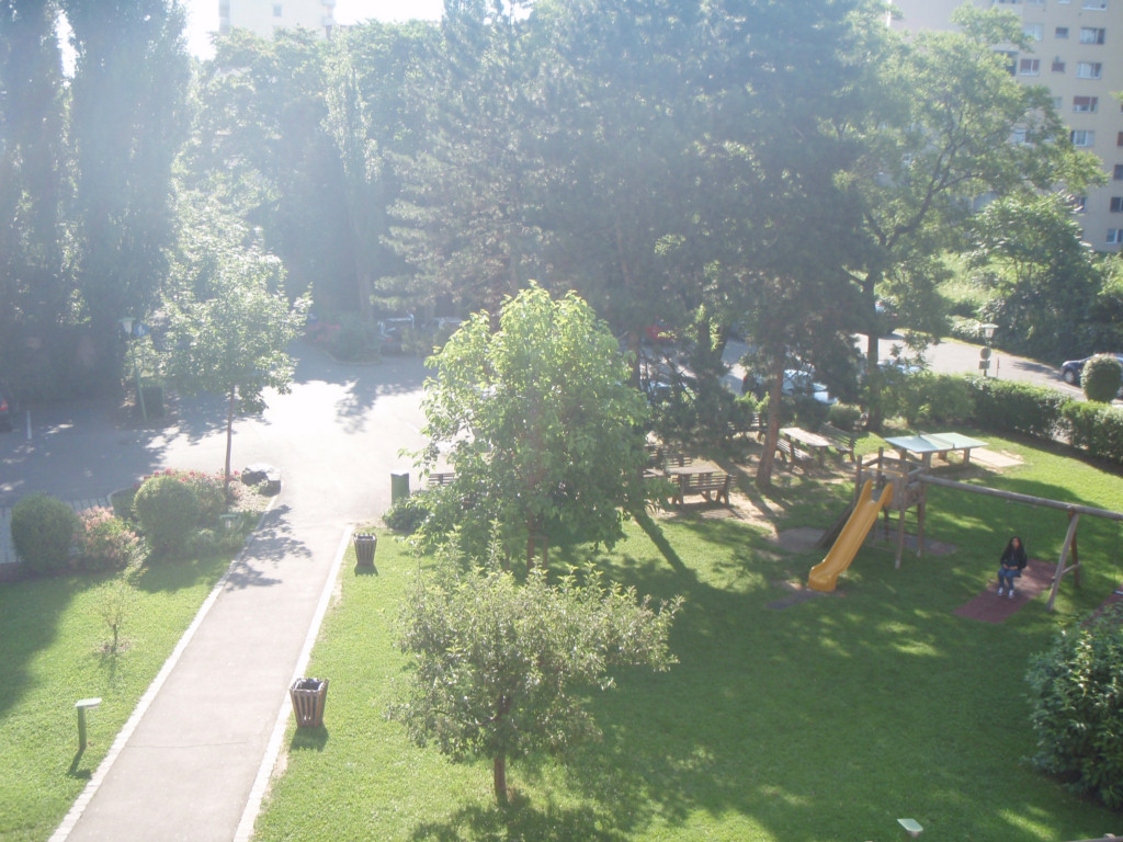 P7060004